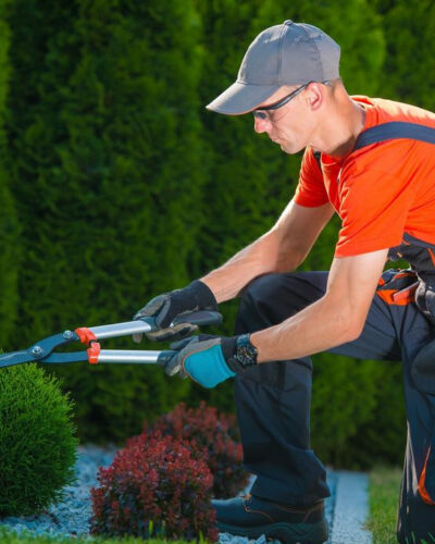 Gardening