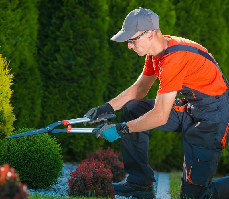 Gardening