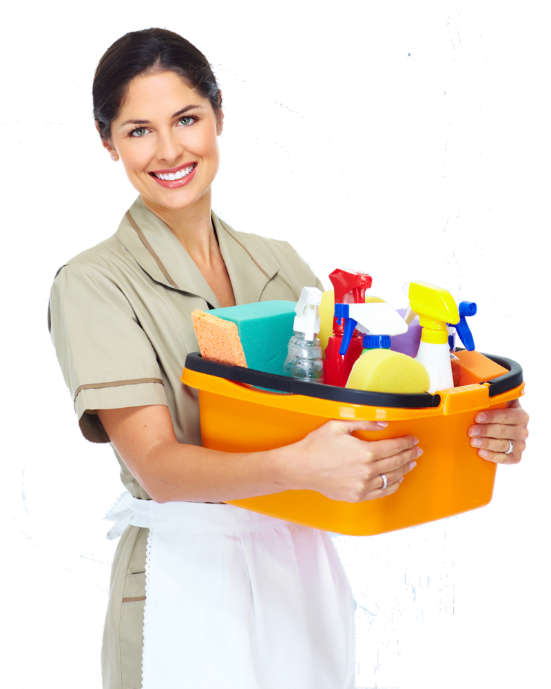 Qualities of housemaid